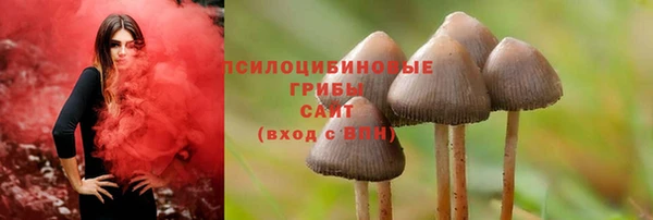 mdpv Беломорск