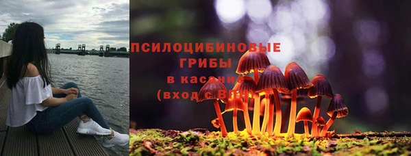 spice Белоозёрский