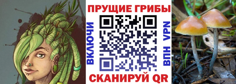Галлюциногенные грибы Magic Shrooms  Гаврилов-Ям 