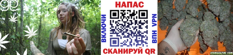 закладки  Гаврилов-Ям  Бошки Шишки тримм 